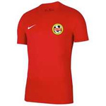 Koszulka dziecięca Nike Dri-FIT Park VII czerwona z nadrukiem Akademii Piłkarskiej Talent