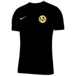 Koszulka dziecięca Nike Dri-FIT Park VII z nadrukiem Akademii Piłkarskiej Talent